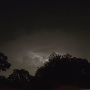 Meet your Posher, Herbert